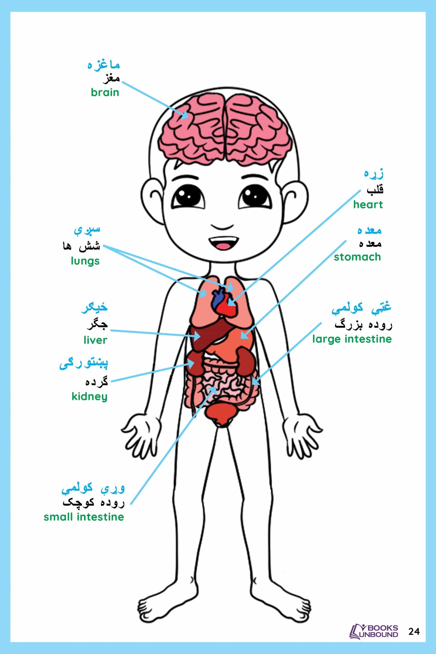 My Picture Dictionary | Afghan Version: Outside the USA