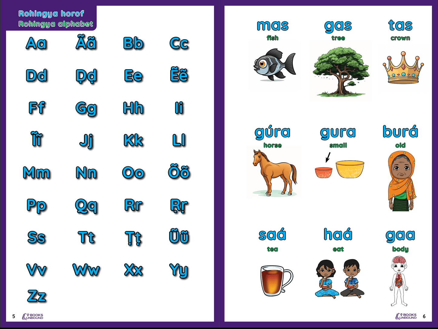 My Picture Dictionary | Rohingya Version: USA